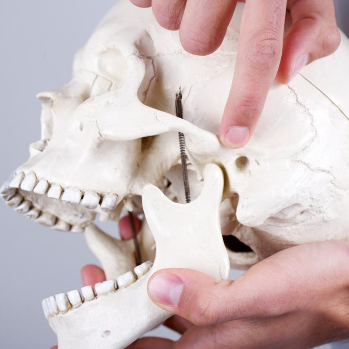 Temporomandibular Eklem (TME) Bozuklukları: Çene Ağrısı ve Fizyoterapi